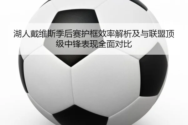 湖人戴维斯季后赛护框效率解析及与联盟顶级中锋表现全面对比